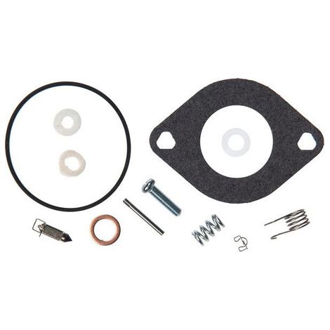 Kit revisione carburatore BRIGGS ET STRATTON 594886