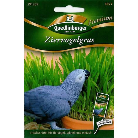 Quedlinburger Ziervogelgras - Futtersamen (1/2)