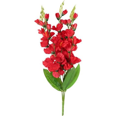 Ramo de 5 gladiolos rojos, de 60 cm de altura. (1/3)