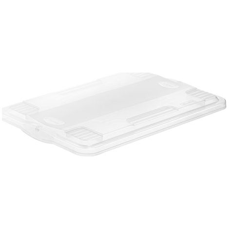 ROTHO 1793300096 COUVERCLE POUR BOÎTE SYSTÈME A3 AGILO PLASTIQUE TRANSPARENT 45 X 35 X 25 CM