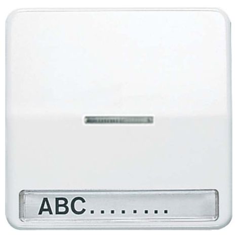 Jung Tasto 1 scomparto, con campo di scrittura, con conduttore di luce, duroplastico, serie CD, bianco alpino CD 590 NAKO5 WW