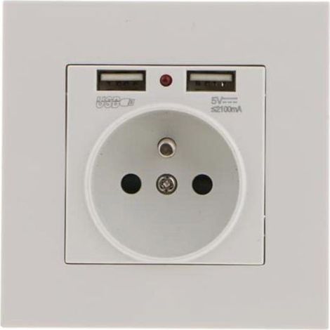 Prise électrique murale double USB 5V 2100mA en plastique ignifuge (1/4)