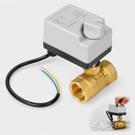 Vanne sphérique moteur 2 voies avec fonction manuelle : DN20 Vanne de zone 3/4" Vanne sphérique électrique 2 fils Valve d'eau vanne moteur (AC 220 V) (1/5)