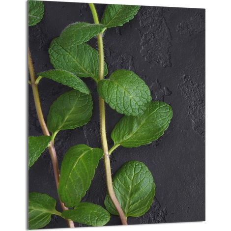 Glasschneidebrett 40x52 Mint (1/5)