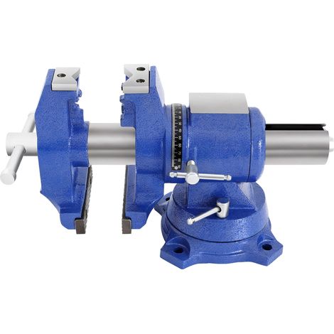 Étau d'établi 100 mm 4 Inch, Etaux Pivotant à 360°, étaux Robustes pour l'atelier, Etau pour Le Travail du Dois, Le Perçage et Le Travail des Métaux, Vice (1/5)