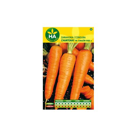 Graines Carottes Chantenay Red Heart 2 Agreen Carottes Coniques, Coeur Rouge, Rendement élevé. - Agreen