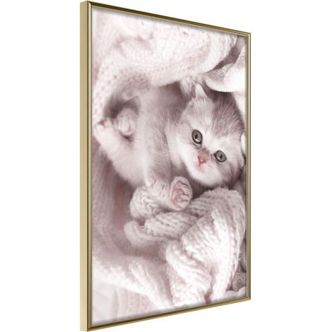 Affiche Murale Encadrée "Tangled in Sweater" 30 x 42 cm Or