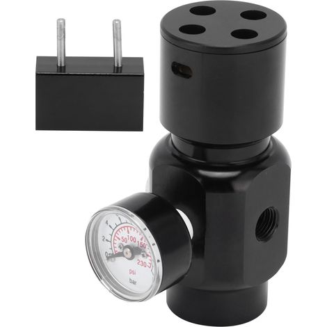 Tragbarer Mini-CO2-Regler aus Edelstahl für Heimbierfässer (1/5)