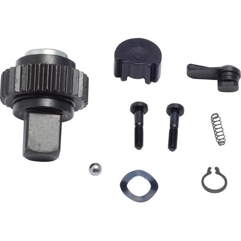 Kit de pièces de rechange pour roue à rochet 6403-1S/9 HAZET