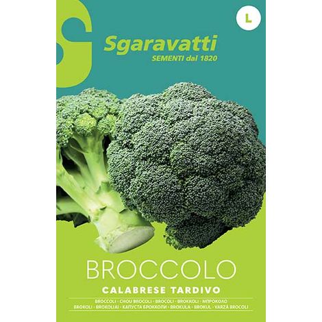 Semi per Ortaggi e Vegetali Broccolo Ramoso Calabrese Tardivo 20 Pezzi (1/2)