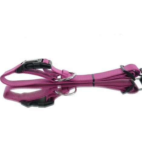 Nobby® Hunde Halsband Classic Himbeere Größe L - XL (1/3)