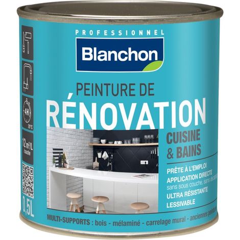 Blanchon – Peinture extérieure multi-supports 0,5L ultra brillant – Application facile au pinceau ou rouleau – Pour cuisines et salles de bain (1/5)