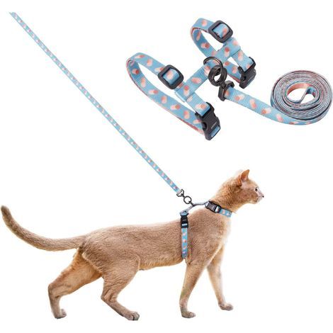Conjunto de correa para gato, arnés en H para gato, cuerda para pasear al gato (1/5)