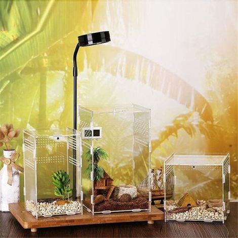 Terrarium pour reptiles, terrarium pour insectes, terrarium pour lézards, serpents, araignées (1/5)