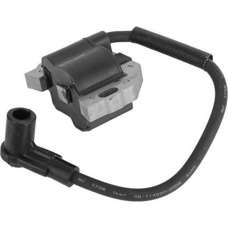 Bobine d'allumage moteur Kawasaki FR FS FX -1, 21171-0743 21171-0738 21171-0711 rechange moteur - Métallique Aucuneary (1/5)