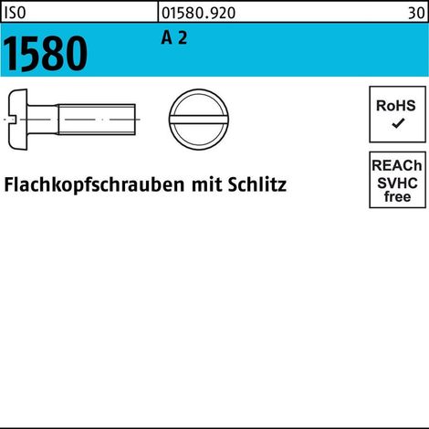 Flachkopfschraube ISO 1580 m.Schlitz M 5 x 6 A 2