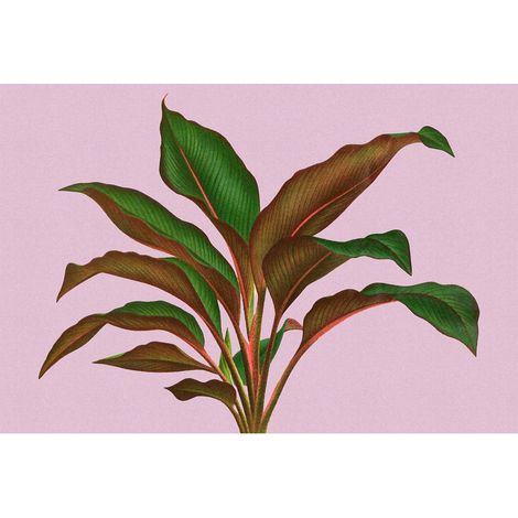 Papier peint panoramique plante sur fond rose Tapisserie panoramique pour chambre d'ado Papier peint panoramique feuilles vertes (1/2)