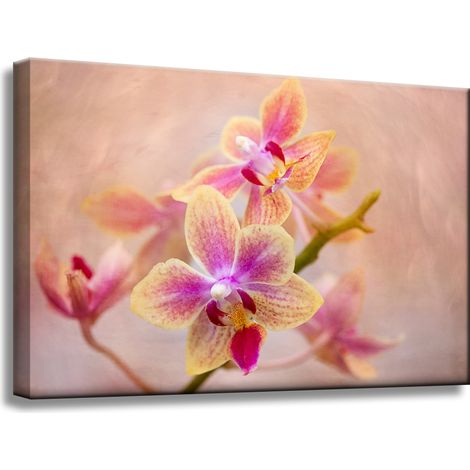 Leinwanddruck Botanik Blume Orchidee 60x40 cm