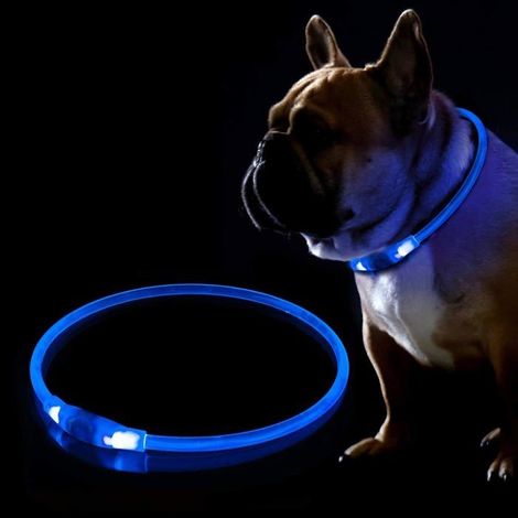 Wiederaufladbares LED-Hundehalsband per USB – Blinkendes Halsband für mehr Sicherheit bei Nacht – Verstellbar, wasserdicht und leuchtend – Ta160 (1/4)
