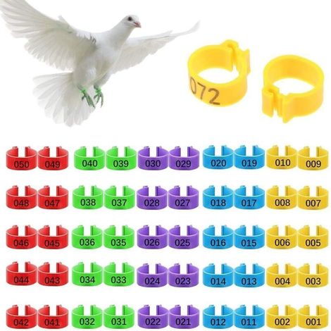 50Pcs Bague pour Poule, Bague pour Poule Identification, Bague Poule Anneaux de Jambe d'Identificatio, 16 mm, 5 Couleurs Anneaux de Jambe d'Identification Clip, Numéro 1–50, pour Poulet, Canard Goose