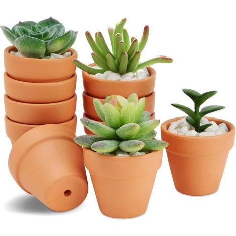 10 Pcs Terracotta Pots, Terracotta Flower Pots, Mini Ceramic Pots with Drainage Hole, Indoor Plant Pots for Cactus and Succulents Indoor and Outdoor (4.8 x 4cm) (1/5)
