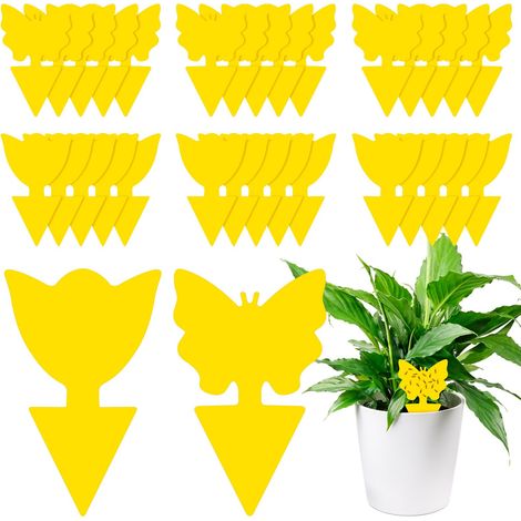 Lot de 30 pièges à mouches des fruits jaunes (1/5)