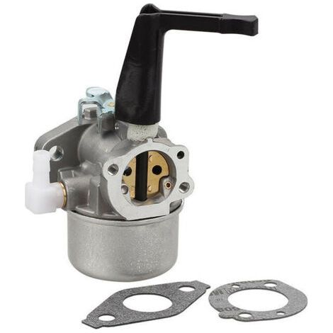 Nazalus-Vente chaude-Carburateur de remplacement Ruichang Briggs & Stratton Tiller 696065 avec kit de joints (1/5)