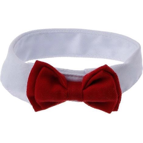 Collier princesse pour chats, nœud de cou élégant, accessoire chat avec nœud papillon multicolore, taille S, décor doux et chic pour chaton.