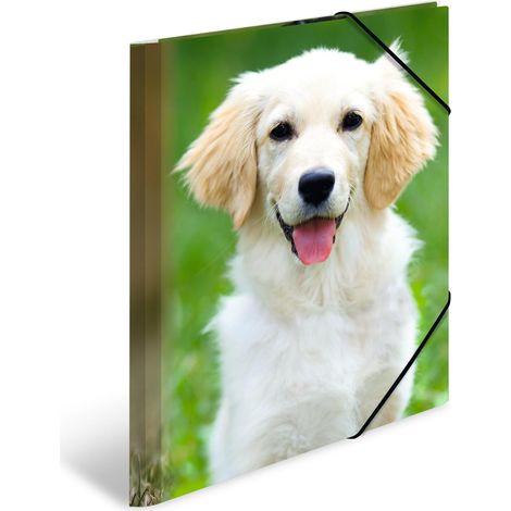 Chemises à élastique Animaux Chiens A4, Polypropylène, avec impression intérieure, chemise plastique avec rabat (1/5)