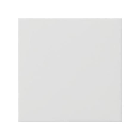 Gira Bedienaufsatz System rws 536003 (1/5)