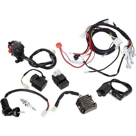 Câblage électrique Câblage CDI Accessoire pour montage VTT QUAD Bike 200-300cc, polyvalent et pratique (1/5)