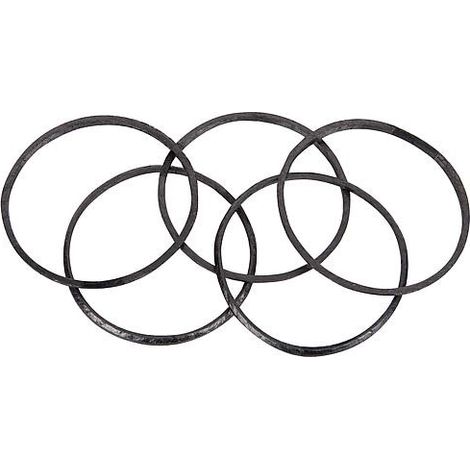 joint de brûleur Remeha S103172 remplace S100308 Emabllage 5 pcs