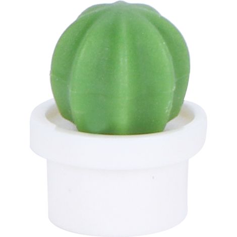Lot de 6 aimants décoratifs pour réfrigérateur représentant de jolies plantes succulentes. (1/5)
