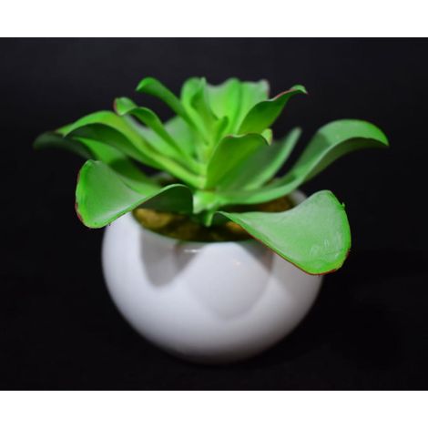 Pianta grassa artificiale in vaso di ceramica bianca (1/2)