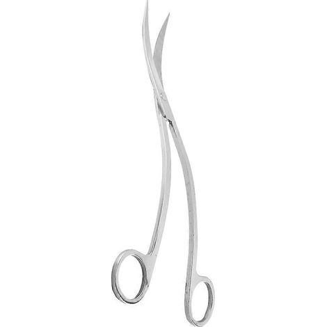 Ciseaux ondulés en acier inoxydable pour aquarium et plantes aquatiques - Outils de coupe-24.5X6.5CM-Silver