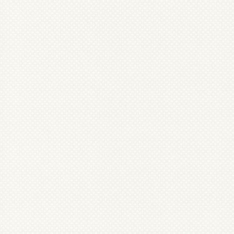 BRICOFLOR Papier peint motif Tapisserie motif Papier peint papier Blanc - 15,00 x 0,53 m (1/4)