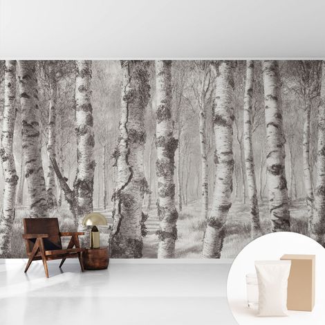 Papier peint intissé avec imprimé installation simple qualité excellente sans désordre - Colle incluse gratuite Forêt de bouleaux 416x254 cm (1/5)