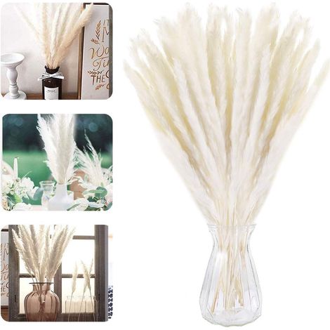 MINKUROW Piccola Erba Di Pampa Essiccata Naturale, 30 Pezzi Decorazione Di Phragmites Communis, Erba Di Pampa Naturale Di Fiori Essiccati Artificiali Fotografare Fiori Di Nozze Decorazioni Per La Casa (1/5)