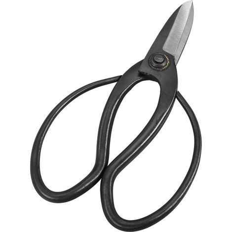 Ciseaux robustes et durables en acier inoxydable pour plantes en pot et outils de jardinage (1/5)
