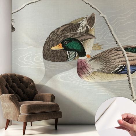 Selbstklebend Tapete modern Wohnzimmer - Wanddekoration - einfach anzubringen Ruhige Enten 250x250 cm (1/5)