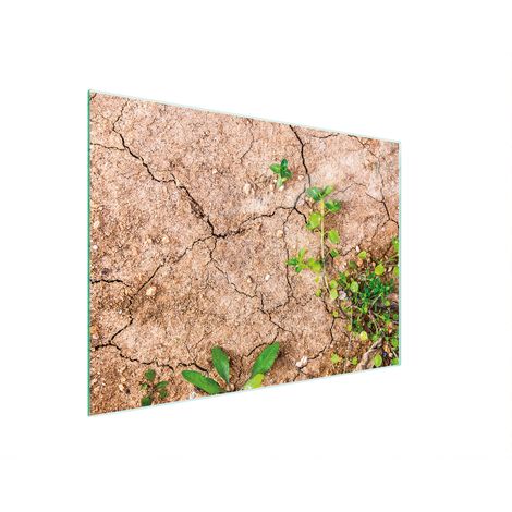 TABLA DE CORTAR DE VIDRIO 30x22 PLANTAS (1/5)