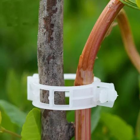 300 pinces à levier vertes pour plantes et fleurs, outil idéal pour soutenir ou redresser les tiges, les vrilles et les vignes. (1/5)