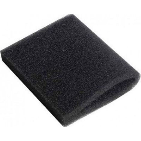 Filtro motore - Aspirapolvere - KÄRCHER - 2980693663946697788 (1/2)