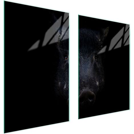 Assiette de protection en verre POUR la cuisine 65x52 sanglier (1/5)