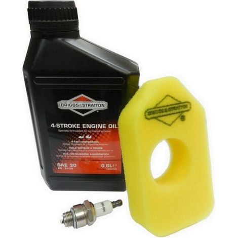 Kit Entretien Moteur - Filtre À Air - Bougie RJ19LM - Huile 0.60 L - Pour Moteurs Classic Sprint Quattro 450 Et 550 (1/2)