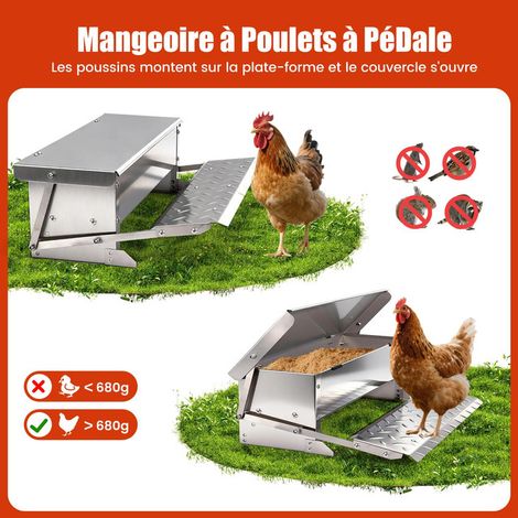 Mangeoire Automatique pour Poules avec Pédale, Distributeur de Nourriture Anti-Nuisibles en Acier Inoxydable, Capacité 5kg, Étanche et Robuste