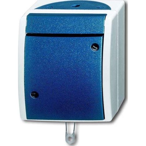 Busch-Jaeger Zugwechselschalter AP 2610/6 W-53 (1/4)