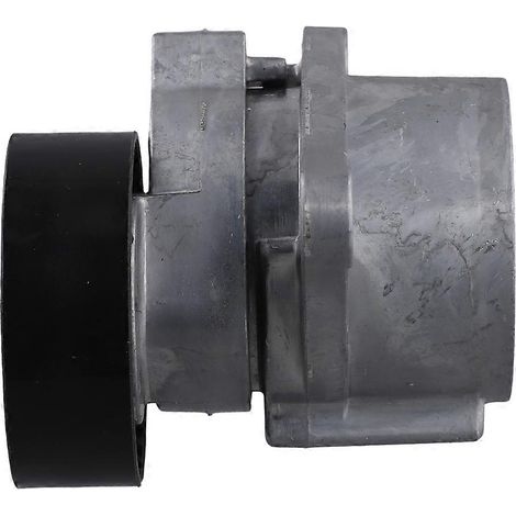 Tendeur de courroie de voiture 31251250 pour C70 S40 S60 S70 S90 V70 XC90 1999-2007 999053A (1/5)