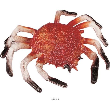 Araignee de mer artificielle en Plastique soufflé L 220x200 mm (1/3)