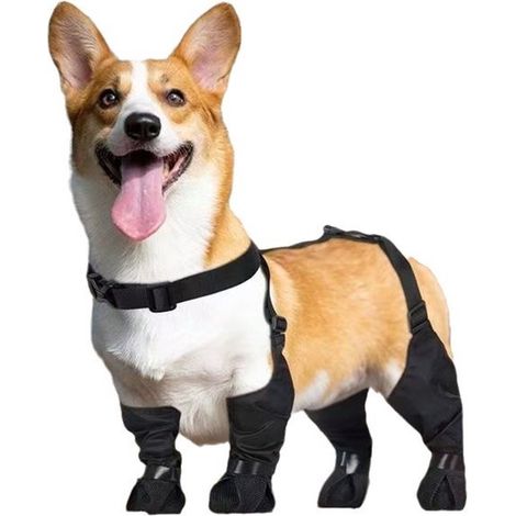 Scarpe per cani, stivali per cani con bretelle, scarpe per cani antiscivolo, antiurto e impermeabili, leggings per cani, protezione per le zampe di cani di piccola e media taglia (1/4)